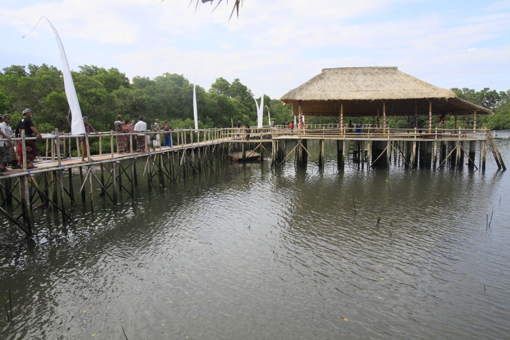 ekowisata-mangrove