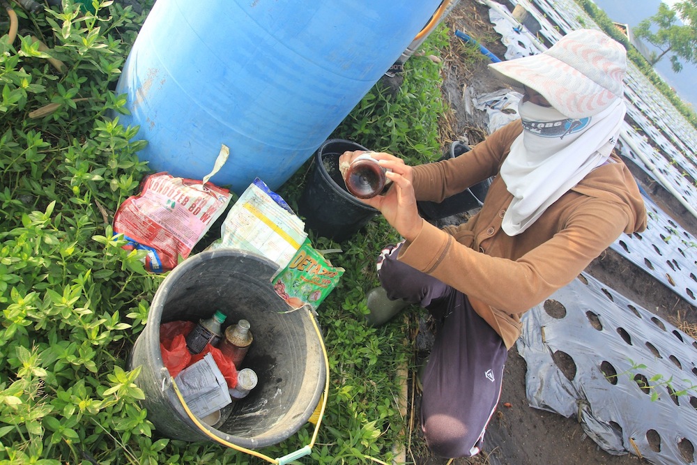 petani-batur02-campur