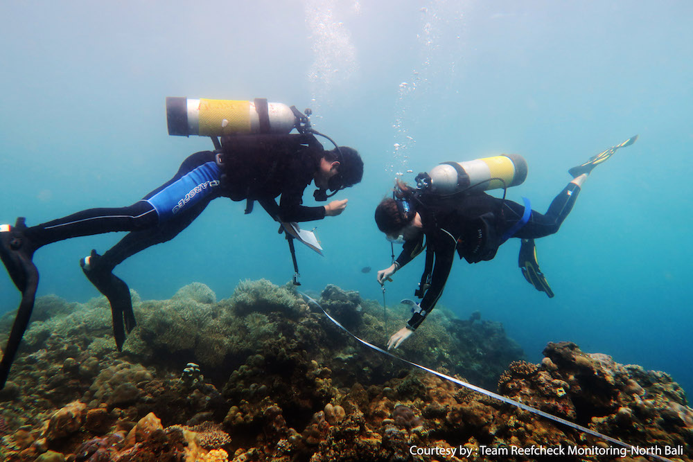 Reef Check Bali Utara 1