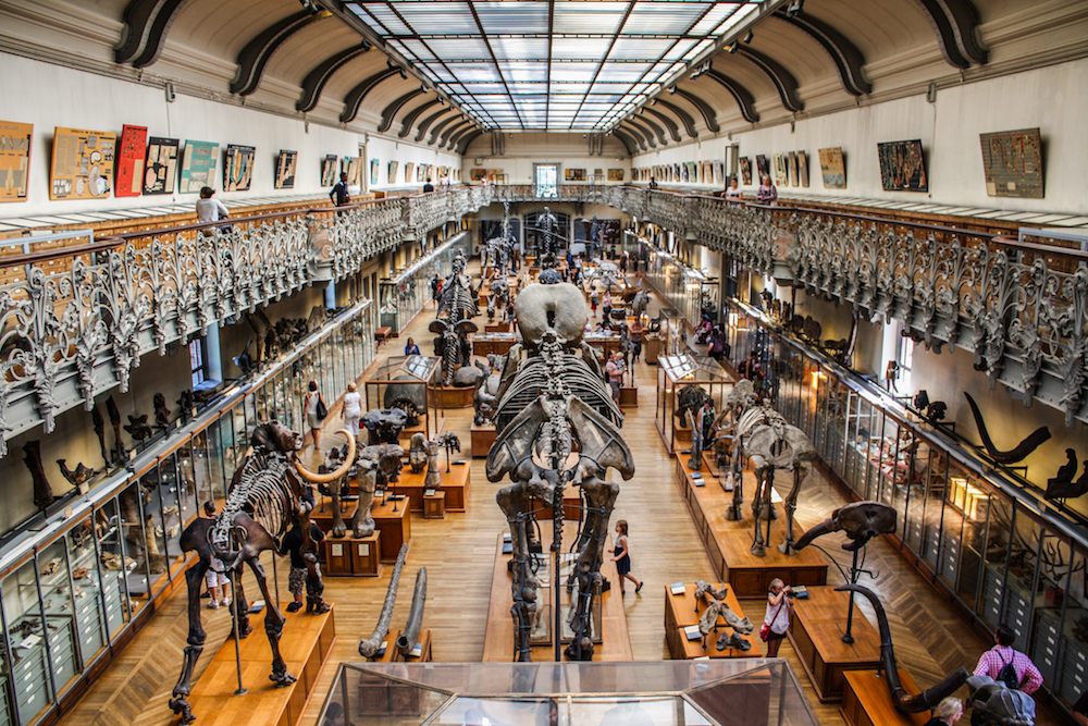 Museum of Natural History Paris. Foto Wikimedia.