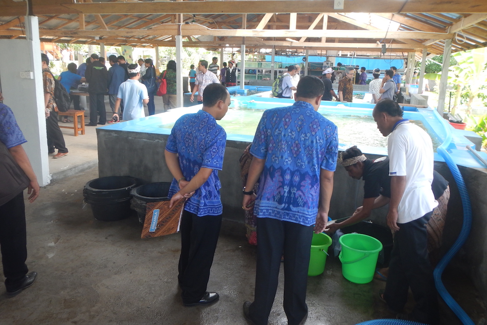 Pusat Pelatihan Perikanan Berkelanjutan dan Budidaya Ikan Hias di Desa Les
