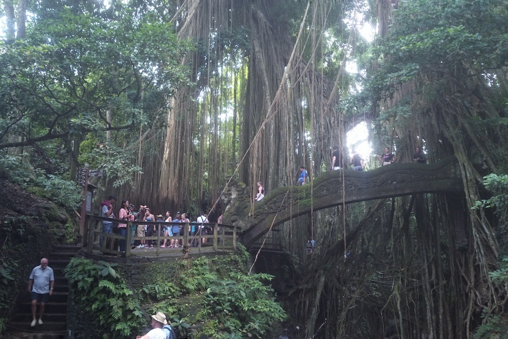 Jembatan dengan latar belakang pohon di Monkey Forest Ubud. Foto Ahmad Muzakky.