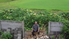 rebho-dinding-pembatas-LR